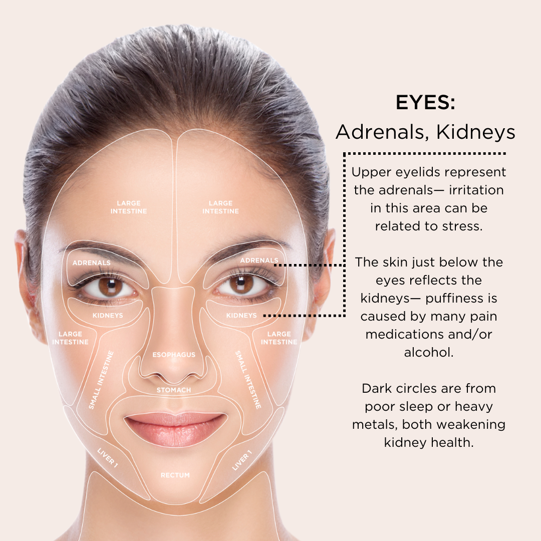 infograph of osmosis skin mapping for eyes with text